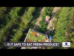 Cyclosporiasis outbreak latest: Is it safe to eat fresh produce?