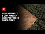 Desmatamento é uma ameaça às exportações brasileiras? Veja análise | CNN PRIME TIME