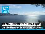 Canicule marine : les eaux de la Méditerranée toujours plus chaudes • FRANCE 24