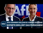 DEUTSCHLAND: AfD-Hammer! Das gab es vorher noch nie! Experte verrät! "Das passt in einen Trend!"
