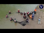 Rescatan a veintisiete delfines rosados de río atrapados lejos de su afluente