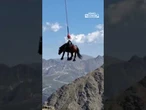 Andorra, un cavallo ferito viene imbracato e salvato in elicottero