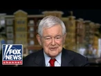 Newt Gingrich: Trump should ask Biden if he's 'been to a grocery store'