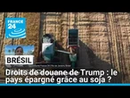 Droits de douane de Trump : le Brésil épargné grâce au soja ? • FRANCE 24