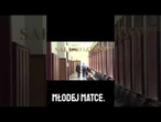 Szybkie postępowanie prokuratorskie - sprawa rasizmu przeciwko Oliwii O.