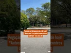 Pegação no Ibirapuera não é de hoje! “Autorama” era point de encontros LGBTQIA+ | Rodrigo Ramos