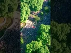 Más de un millón de personas asisten a la misa del Papa en la plaza de Cibeles de Madrid
