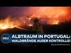 PORTUGAL BRENNT: Waldbrände außer Kontrolle, Helfer aus der EU im Einsatz