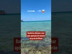 Banhistas deixam o mar após aparição de tubarão em praia de Miami