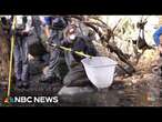 Good news: Protecting steelhead trout from wildfire ravages