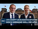 DEUTSCHLAND: Bundestag blockiert AfD! Partei will sechs Ausschüsse leiten – Opposition lehnt ab