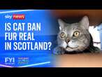 FYI: Fake News or Fact - Are the Scottish government really considering banning pet cats?