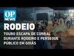 Touro escapa de curral durante rodeio e persegue público em Goiás | O POVO NEWS