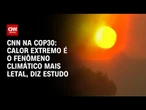 CNN na COP30: Calor extremo é o fenômeno climático mais letal, diz estudo | CNN PRIME TIME
