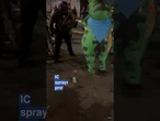 ICE agent pepper sprays protester in frog suit