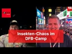 Insekten-Attacke im DFB-Camp: Reporter wird vor laufender Kamera belagert
