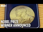 LIVE Nobel Prize in literature announced after 2025 Nobels in medicine, physics and chemistry