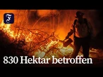 Abermals heftige Waldbrände in Kalifornien