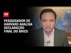 Vitelio Brustolin: ataque ao multilateralismo também vem da Rússia | AGORA CNN
