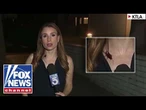 'The Five': Reporter UNFAZED by cockroach