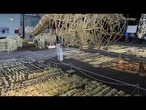 Pays-Bas : les créatures de plage alimentées par le vent exposées à Delft