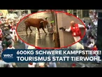 SAN-FERMÍN-FEST IN PAMPLONA: Tödliche Stierhatz in Spanien | 600 Kilogramm schwere Kampfstiere!