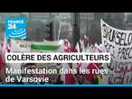 Colère des agriculteurs polonais : manifestation dans les rues de Varsovie • FRANCE 24