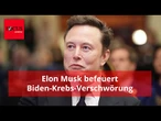 Elon Musk unterstützt Verschwörungstheorie über Bidens Krebsdiagnose