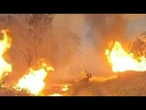 Incêndio atinge parte da Floresta Nacional de Ipanema em SP | AFP