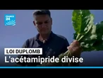 Loi Duplomb : les agriculteurs partagés sur la réintroduction de l'acétamipride • FRANCE 24