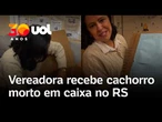 Vereadora defensora da causa animal recebe cachorro morto em caixa no Rio Grande do Sul; vídeo