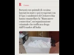 Borsoni lanciati in mare e recuperati con il Gps: così la cocaina arrivava dall'Ecuador a Roma