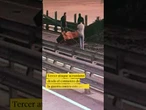 Ucrania asegura haber dañado los cimientos del puente de Crimea en una operación especial
