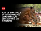 Ração contaminada: Mais de 240 cavalos já morreram, diz Ministério da Agricultura | CNN NOVO DIA