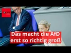 Deutschlands ökonomischer Abstieg macht die AfD erst so richtig groß