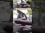'INCREDIBLE': 17-year-old hero saves autistic sister from lake #shorts