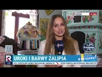 Muzeum ziemi tarnowskiej | Wstajemy
