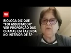 Bióloga diz que “foi assustador” ver proporção das chamas em fazenda no interior de SP | PRIME TIME