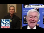 Newt Gingrich mocks Dems' latest Trump insult: 'This is just nuts'