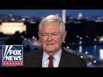 Newt Gingrich: Dems are ‘enraged’ and have ‘no solutions'