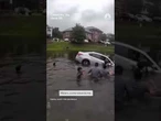 Rescuers form human chain to save driver from sinking car