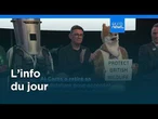 L’info du jour | 9 juillet 2026 - Soir