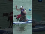 Die britischen Meisterschaften im „Hundesurfen“ sind auf Paddle-Boards. #Hunde #UK #tagesschau