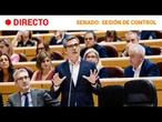 DIRECTO | SENADO: PLENO y SESIÓN DE CONTROL al GOBIERNO (23/06/2026) | RTVE Noticias