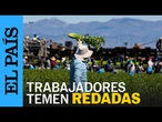 TRUMP | Trabajadores migrantes agrícolas temen a redadas migratorias