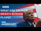 What is Donald Trump's plan to stop illegal border crossings? - Q&A | BBC Americast