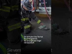 Ungewöhnliche Tauben-Rettung #nachrichten #feuerwehr #tiere #tierrettung #taube #tierschutz