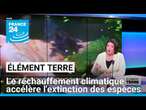 Un réchauffement climatique au-delà de 1,5°C accélèrerait l'extinction des espèces