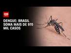 Dengue: Brasil soma mais de 970 mil casos | CNN PRIME TIME