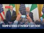 President Trump attends St Patrick's Day reception at the White House